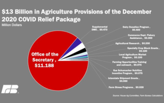 The last-minute COVID relief package recently passed by Congress includes some much-needed assistance for agriculture.