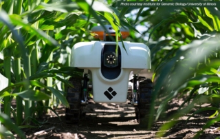 A rise in the use of robots in agriculture is coming, but integration will be slow and increase over time, according to a new paper.