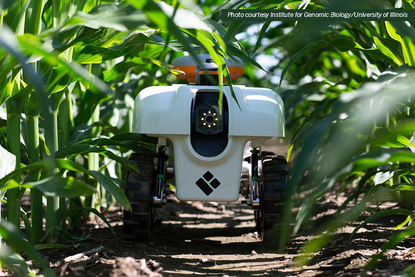 Challenges Opportunities To Adopting Robots In Ag Texas Farm Bureau