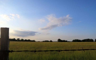 The Natural Resources Conservation Service in Texas has set a second funding application deadline of Feb. 12 for the Environmental Quality Incentives Program.