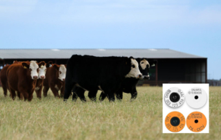 Texas Animal Health Commission has a limited supply of radio frequency identification (RFID) cattle ear tags available to order.
