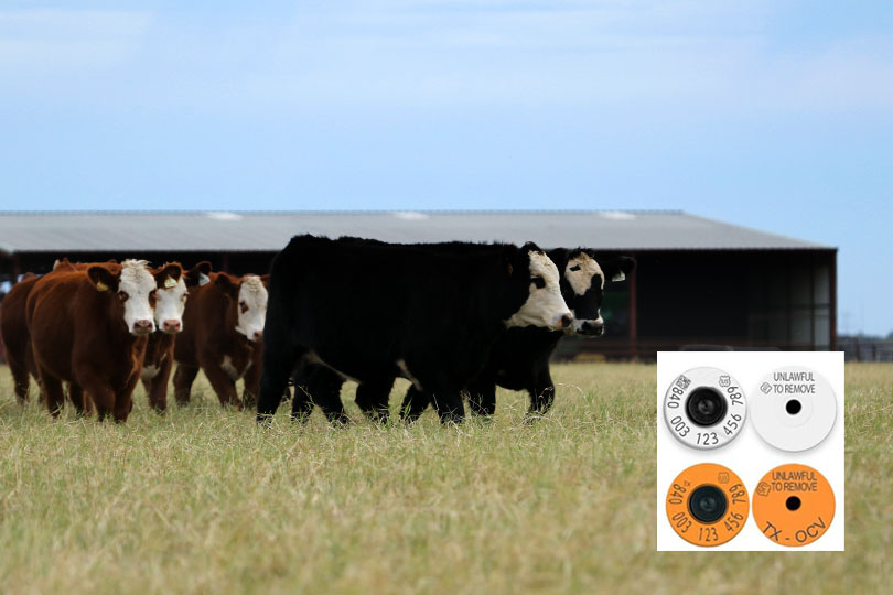 RFID ear tags available through TAHC - Texas Farm Bureau