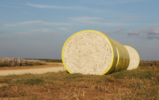 A digital bale-tracking platform now allows farmers to track cotton bales as they move through the supply chain.