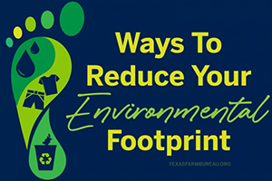 As we all strive to have a positive impact on the world around us, let’s consider ways to reduce our environmental footprint.