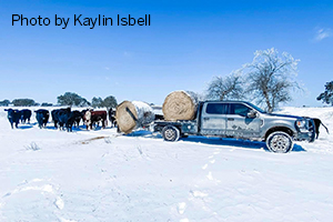 It was cold, but this winter storm of a lifetime has showed us the strength and unwavering dedication of farmers and ranchers.