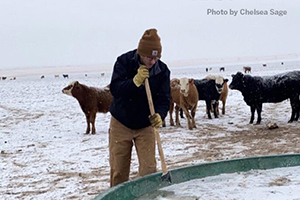 The unprecedented winter blast that’s gripping Texas has meant long days and long nights for livestock owners.