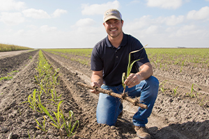 In the Rio Grande Valley of Texas, farmers like Bryce Wilde grow the Lone Star State’s sweetest crop: sugarcane.