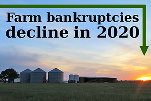 Chapter 12 farm bankruptcies in 2020 in both the U.S. and in Texas were down compared to the previous year.