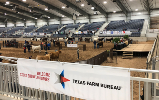 The Patriot Junior Market Steer Show gives 4-H and FFA exhibitors an alternate venue to show their steers since Fort Worth was cancelled.