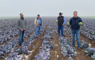 To help Texas’ Congressional leaders better understand issues facing ag, Texas Farm Bureau hosted three farm tours in January and February.