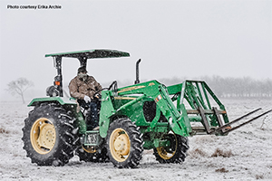Farmers and ranchers faced bitter cold temperatures in February's historic freeze. See more from members on Texas Table Top.