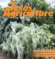 Texas Agriculture Publication | March 5, 2021