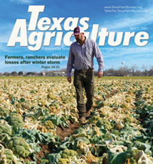 Texas Agriculture Publication | April 2, 2021