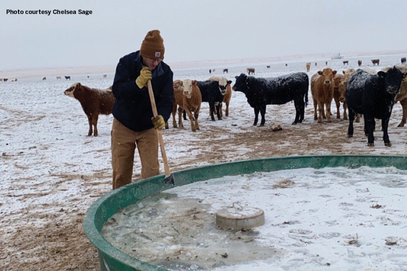 rancher chopping ice in a water trough during Winter Storm Uri