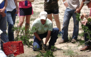 Texas Brigades, a non-profit organization focused on youth conservation education and leadership development, is offering eight summer camps.
