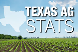 Texas leads the nation in cattle, cotton, horses, sheep, goats and hay. Learn more bite-sized Texas agriculture facts in Texas Neighbors.