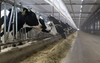 The U.S. Department of Agriculture released advanced notice of minimum provisions to be included in the agency’s new Dairy Donation Program.