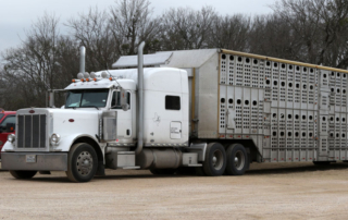 The Modernizing Agricultural Transportation Act would create a taskforce to study hours of service and electronic logging device impacts on agricultural haulers.