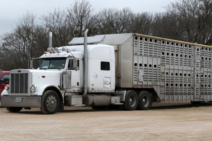U.S. revises hours of service rules for truck drivers - Texas Farm Bureau