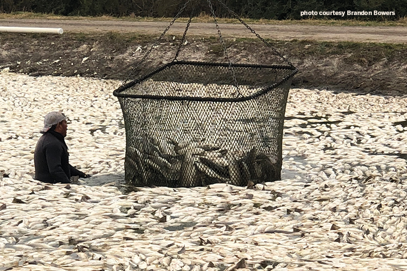 The COVID-19 pandemic and February’s winter storm devastated the Texas redfish industry and Brandon Bowers' family farm.