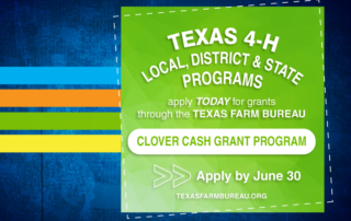 The Texas Farm Bureau Clover Cash 4-H grant program offers funds to county, district and state 4-H programs returns for a second year. Applications are due June 30.