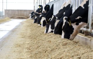 March 2021 was a strong month for U.S. dairy exports, according to data from the U.S. Dairy Export Council (USDEC).