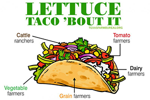 It’s Cinco de Mayo! “Lettuce” celebrate today with tacos! Meet some of the Texas farmers and ranchers behind our favorite taco ingredients.