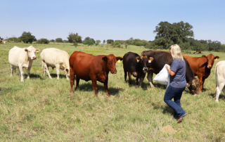 Young farmers and ranchers in Texas can apply for the annual Texas Farm Bureau Young Farmer & Rancher contests through Aug. 2.