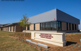 The Charles W. “Doc” Graham ’53 DVM center offers veterinary medicine students in the Texas Panhandle state-of-the-art educational facilities.