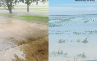 Farmers and ranchers in Southeast Texas are experiencing ongoing hardships due to the exceptionally wet weather.