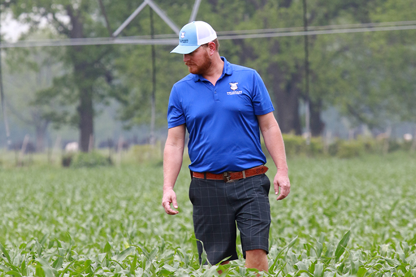 Benjamin Volleman walks through the family's crops on the dairy farm. 