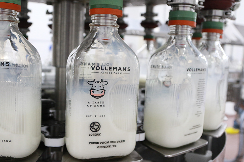 glass bottles being filled with milk