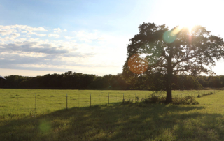 Many state and federal laws regarding land ownership can be complicated, but an online course makes the content more accessible to landowners