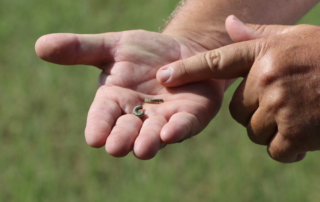 Recent moisture and mild temperatures ushered in an invasion of armyworms in pastures this summer in the Lone Star State.