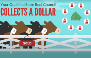 The Cattlemen’s Beef Board and Oklahoma Beef Council collaborated on a video series that explains how the beef checkoff works.