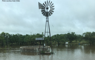 Some much-needed rainfall has brought a side of flooding to some West Texas farms and ranches.