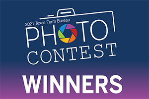Texas Farm Bureau names the 2021 photo contest winners and shares more good photos in the Texas Neighbors publication.