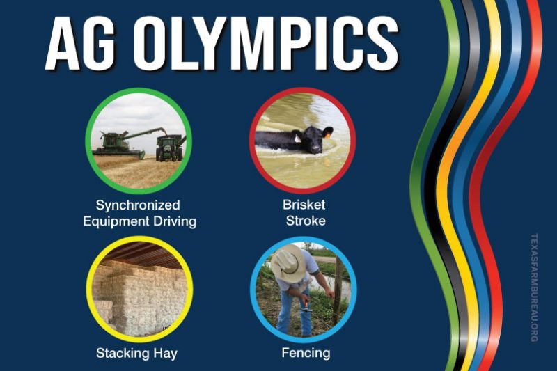 Go for the gold! Some Ag Olympic events would include: the Brisket Stroke, Stacking Hay, Fence Hurdles and Sheep Shearing. See our full list on Texas Table Top.