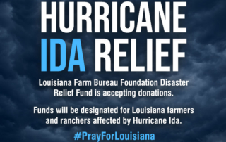 Louisiana Farm Bureau Federation established a relief fund to help farmers and ranchers affected by Hurricane Ida's damaging winds and rain.