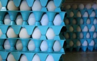 U.S. exports of poultry and eggs set new records for the first six months of 2021 and that is expected to continue for the rest of the year.