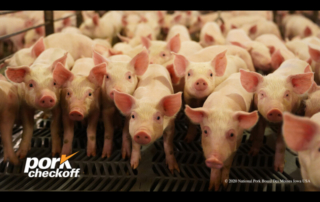 USDA APHIS is hosting webinars Sept. 13-17 for African Swine Fever Action Week. Interested producers can signup online.