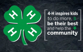 National 4-H Week s dedicated to showcasing the many opportunities 4-H offers youth of all ages and different backgrounds.