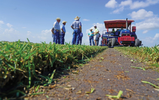 An educational tour of Southeast Texas showed the Texas Farm Bureau board of directors the area’s agricultural diversity, providing a better understanding of the business and industry impacts from the region.