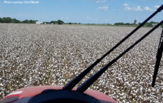 Farmers in the Coastal Bend of Texas faced a series of challenges that affected their crop yields and harvest season.