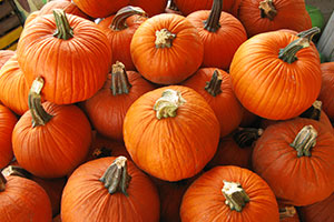 In 2020, the Texas pumpkin crop was worth about $25 million. The majority of Texas pumpkins are grown for decoration.