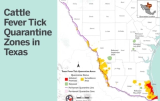 TAHC is asking those who plan to hunt in the Lower Rio Grande Valley to help prevent the spread of cattle fever ticks.