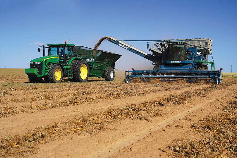 Texas Peanut Farmers Grow A Crowd Favorite Texas Farm Bureau