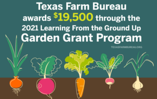 Thirty-nine garden grants were awarded to schools and educational programs across the Lone Star State to help grow ag literacy.