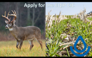 Wildlife habitat and cover crops are two climate-smart conservation practices in the new EQIP conservation contracts for climate-smart ag.