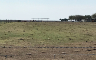 Texas ranchers and livestock producers may be eligible for financial aid for grazing loss through the Livestock Forage Disaster Program.
